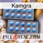 Kamgra viagra4